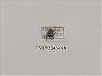 藏品(長毛長腳金龜)的圖片